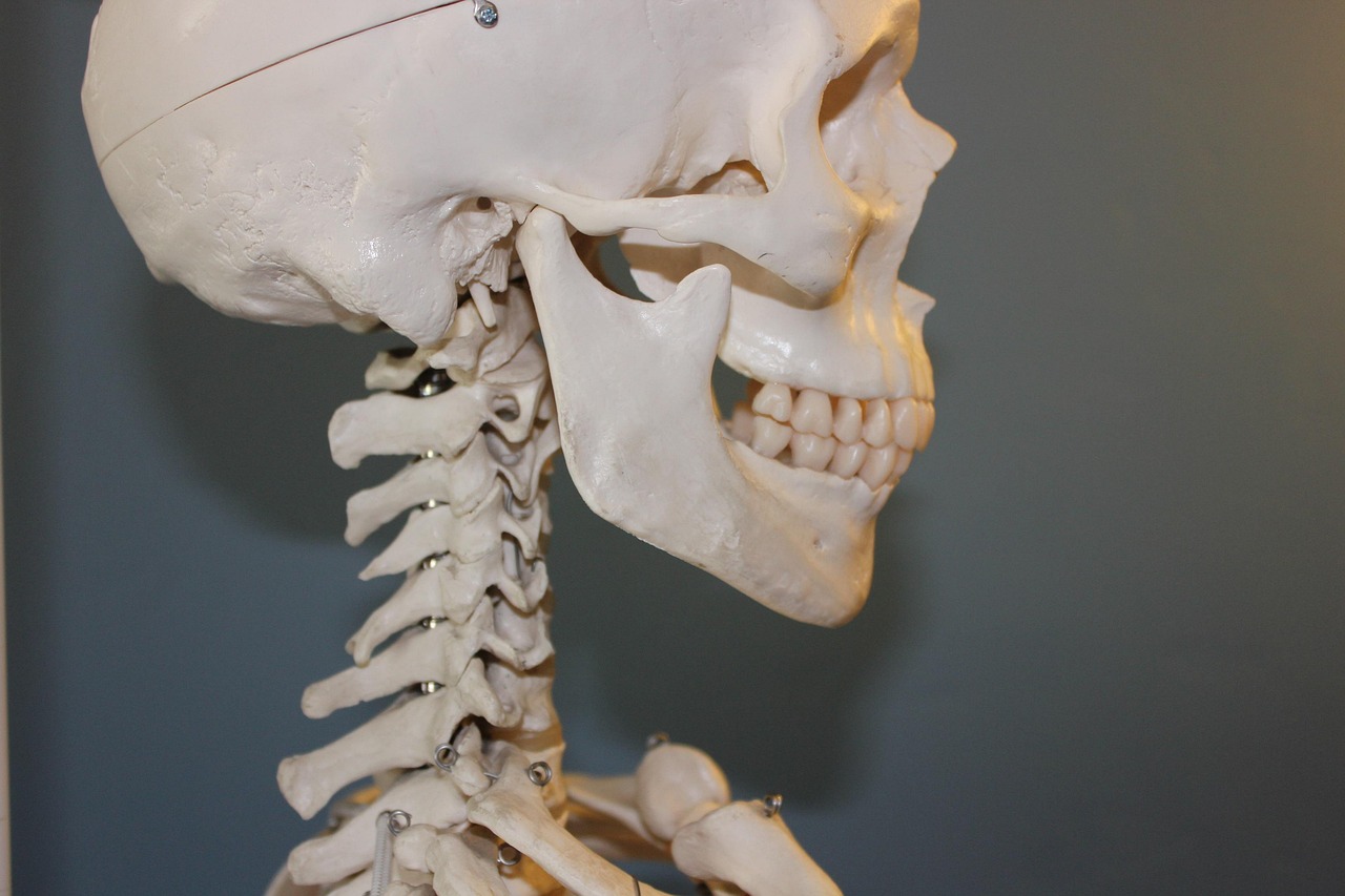 Physiotherapeutische Untersuchung und Behandlung des Kiefergelenks